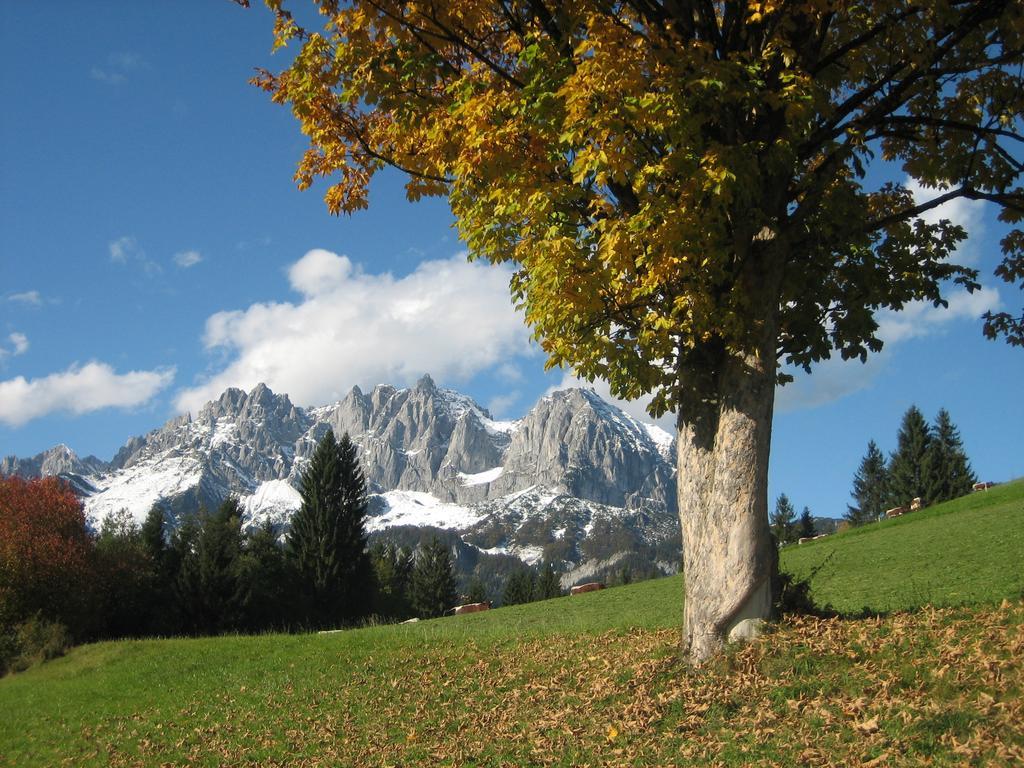 Bauernhof Buchberg * Oberndorf in Tirol