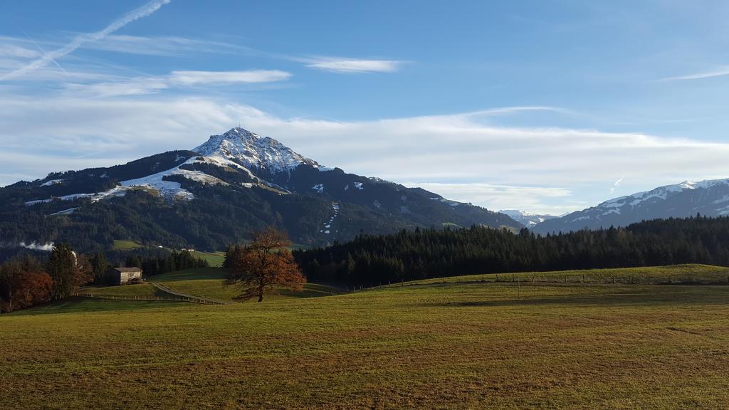 Bauernhof Buchberg Farm stay Oberndorf in Tirol