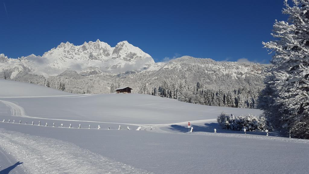 Bauernhof Buchberg * Oberndorf in Tirol